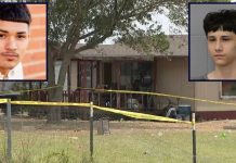 The Unseen Divide: Public Trust and Electronic Monitoring in Serious Cases The Unseen Divide: Public Trust and Electronic Monitoring in Serious Cases