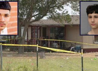 The Unseen Divide: Public Trust and Electronic Monitoring in Serious Cases The Unseen Divide: Public Trust and Electronic Monitoring in Serious Cases