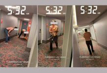 Electronic Monitoring Delay Holds Flamingo Abuse Suspect in Custody Electronic Monitoring Delay Holds Flamingo Abuse Suspect in Custody