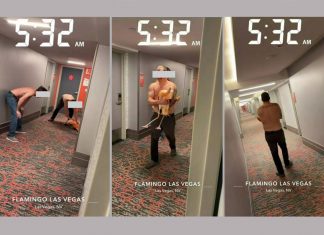 Electronic Monitoring Delay Holds Flamingo Abuse Suspect in Custody Electronic Monitoring Delay Holds Flamingo Abuse Suspect in Custody