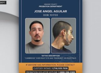 When Technology Meets Policy: Reconciling Electronic Monitoring’s Promise with Its Operational Realities When Technology Meets Policy: Reconciling Electronic Monitoring's Promise with Its Operational Realities