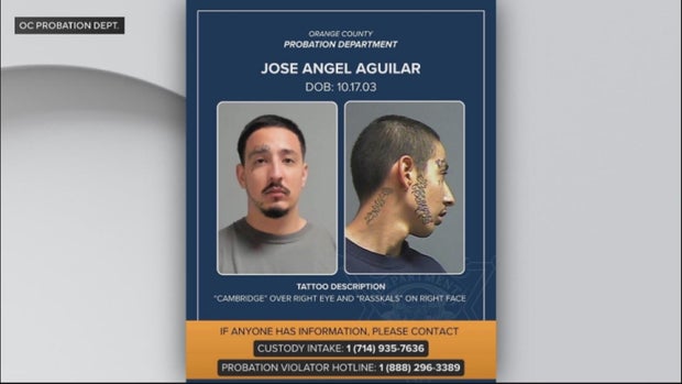 When Technology Meets Policy: Reconciling Electronic Monitoring's Promise with Its Operational Realities