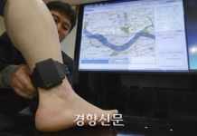 Ankle Monitor Compromised: Fatal Stabbing Highlights System Vulnerabilities in South Korea Ankle Monitor Compromised: Fatal Stabbing Highlights System Vulnerabilities in South Korea