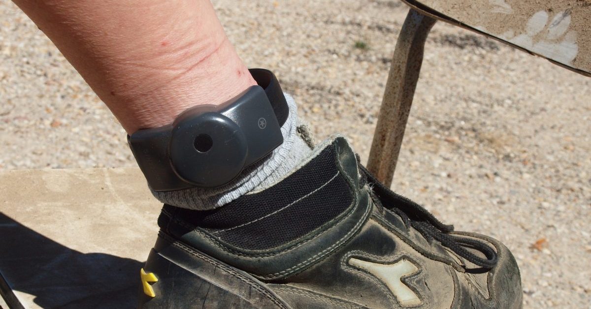 Alberta's GPS Ankle Bracelets: A Deeper Dive into Real-Time Victim Protection