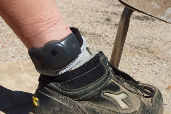 Alberta's GPS Ankle Bracelets: A Deeper Dive into Real-Time Victim Protection