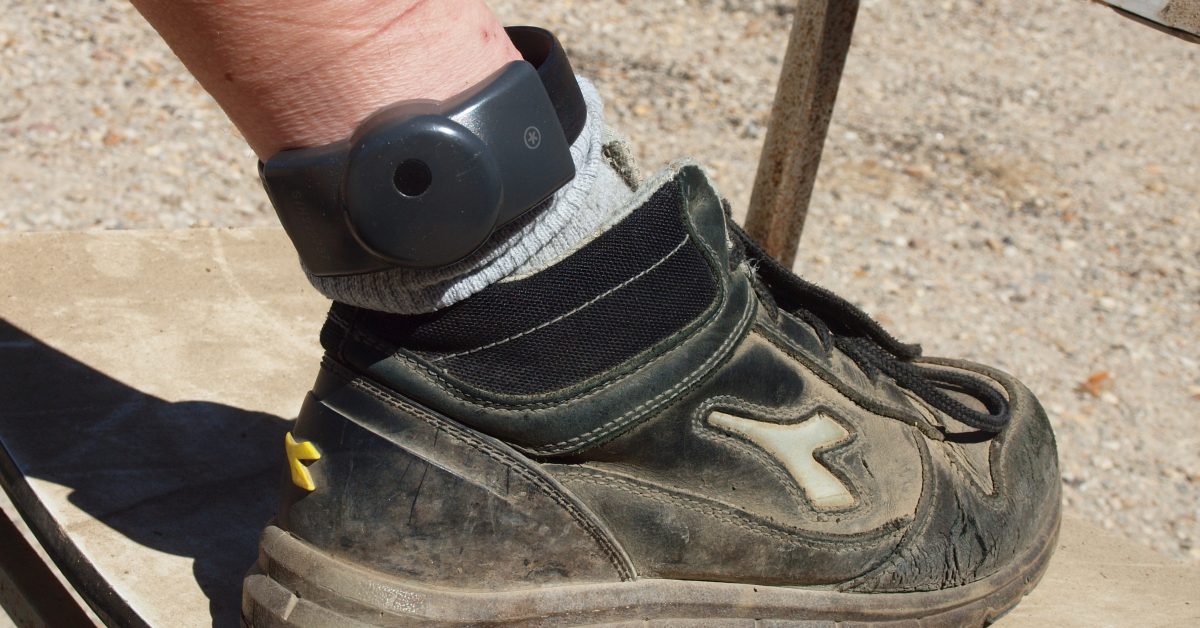 Alberta's GPS Ankle Bracelets: A Deeper Dive into Real-Time Victim Protection - illustration