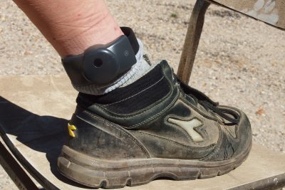The Real Cost of Electronic Monitoring: A Complete Industry Analysis