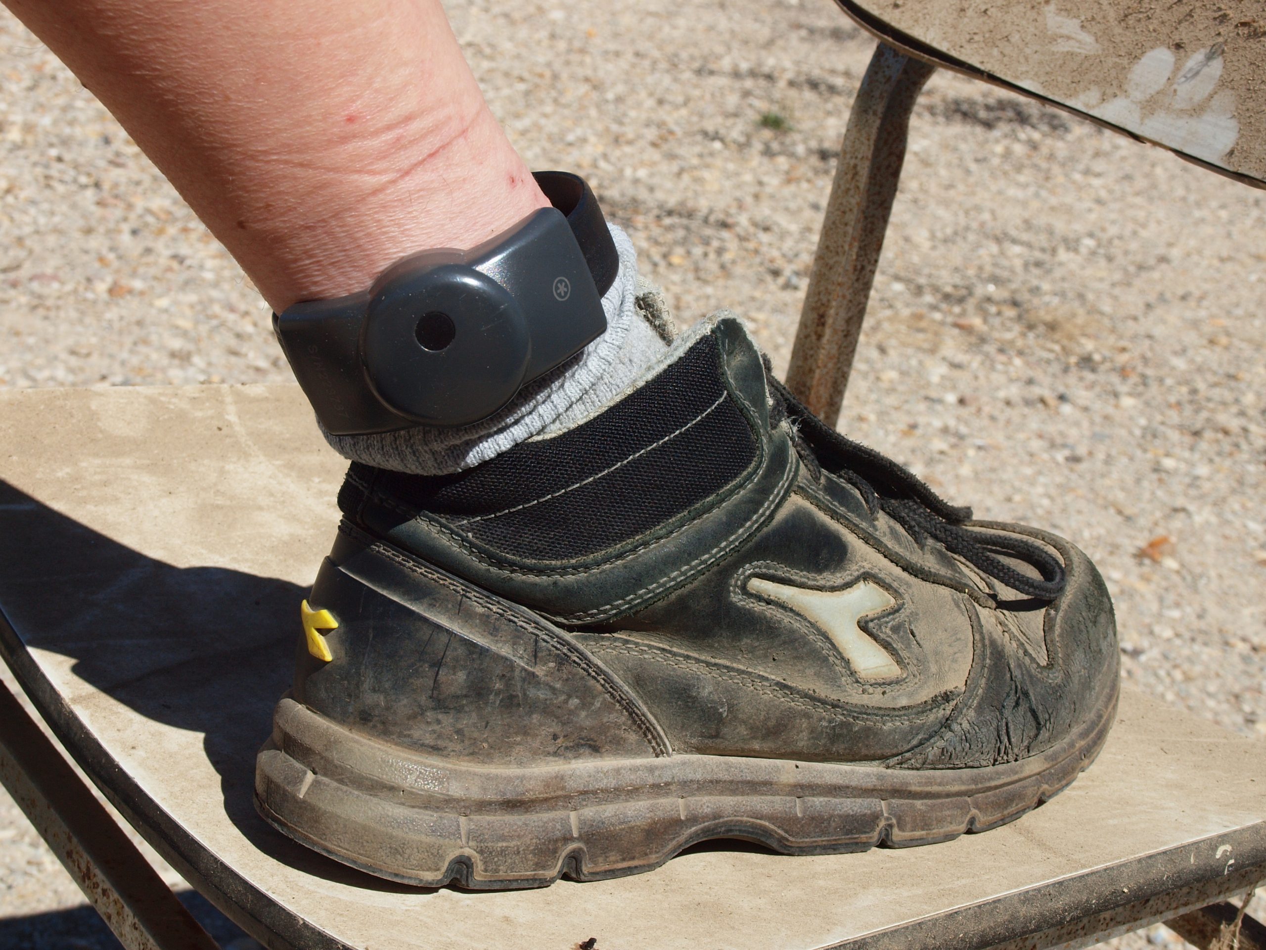 Alberta's GPS Ankle Bracelets: A Deeper Dive into Real-Time Victim Protection