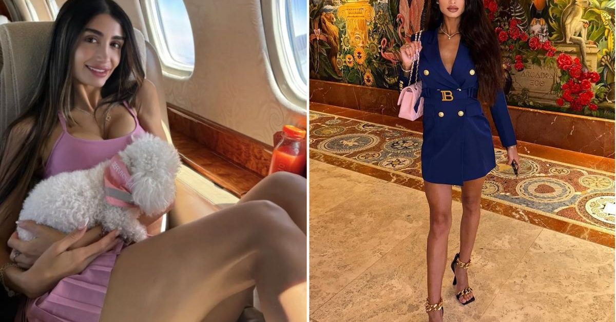 Electronic Monitoring's Dual Edge: Balancing Supervision with Reintegration Challenges