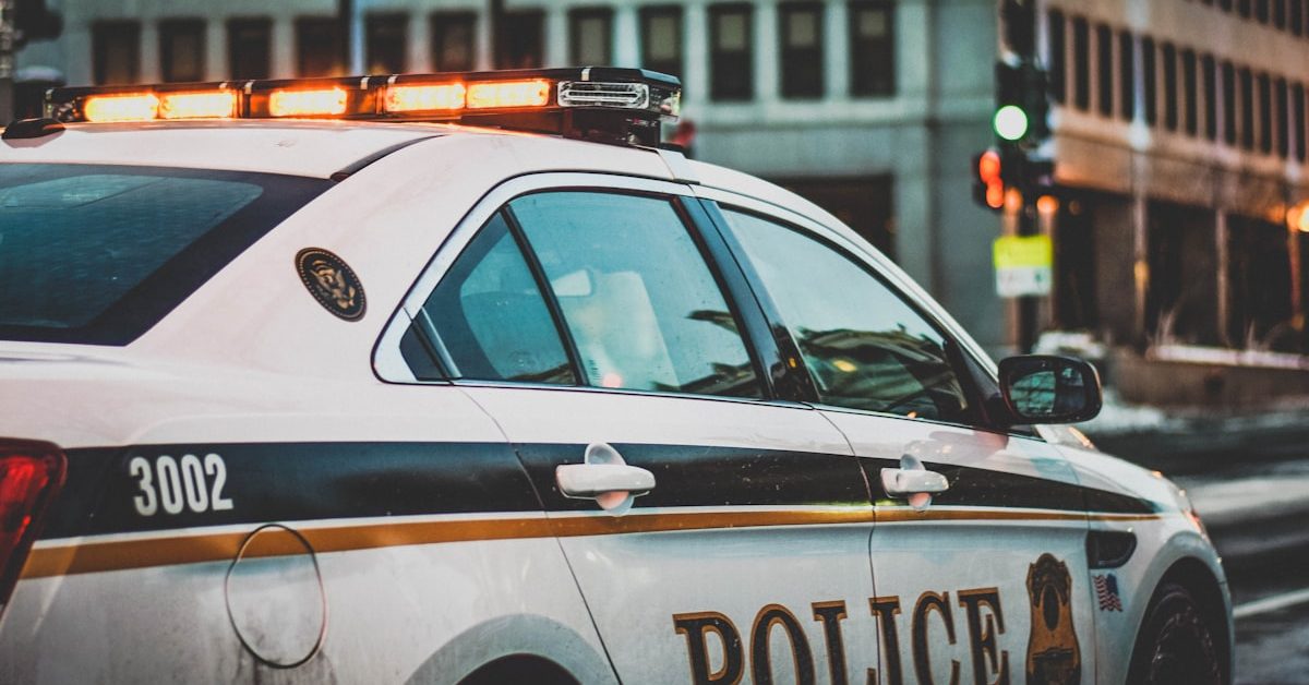 Police vehicles at night with emergency lights — stock image illustrating law enforcement response themes, not a specific crime scene