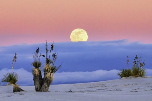 Florida HB277 DV electronic monitoring