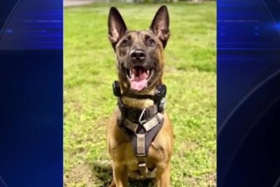 Pretrial Electronic Monitoring Faces Renewed Scrutiny in High-Risk Cases