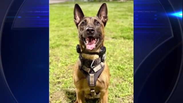 Pretrial Electronic Monitoring Faces Renewed Scrutiny in High-Risk Cases